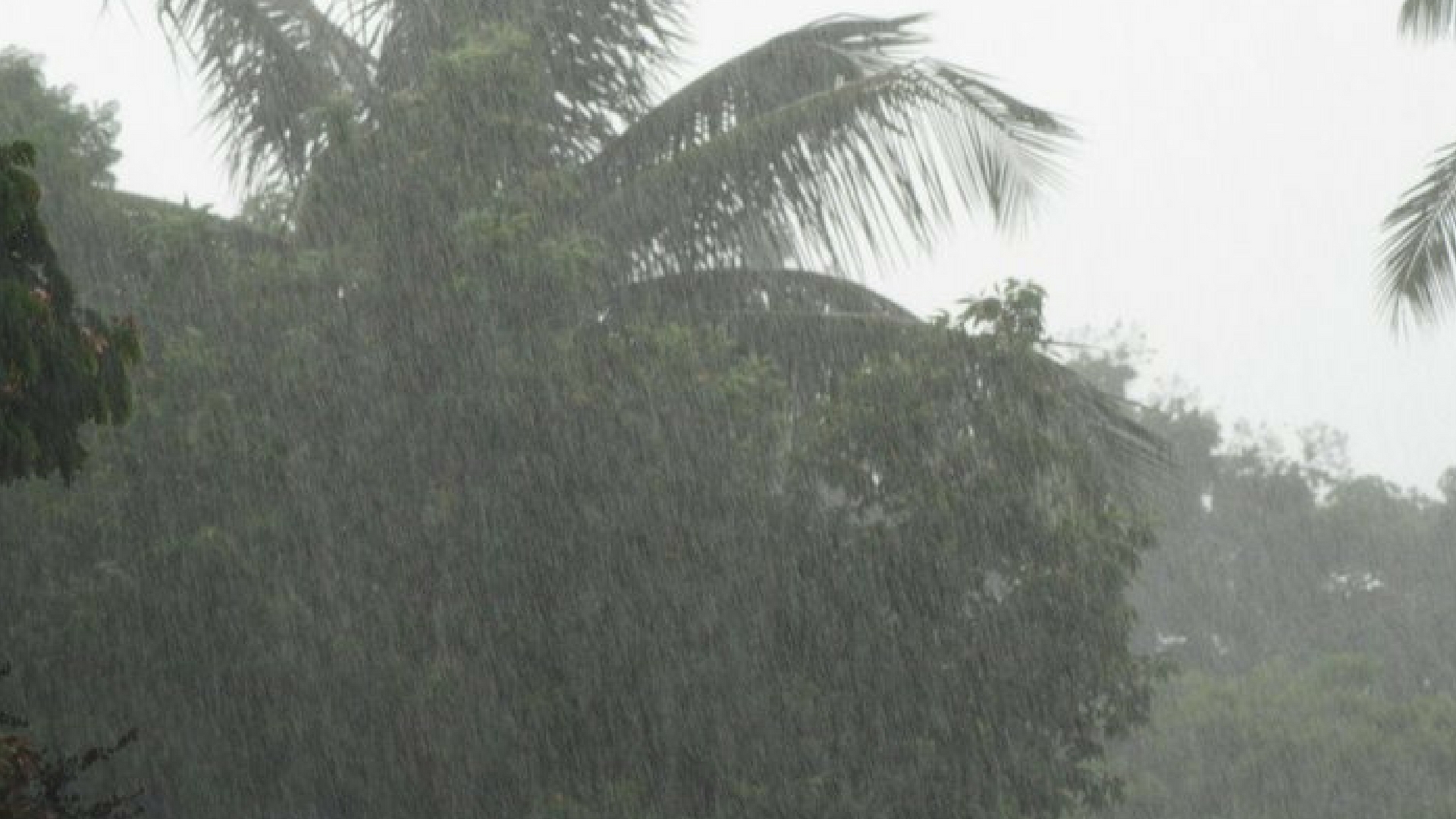 Understanding Rainfall Extremes in Urban India